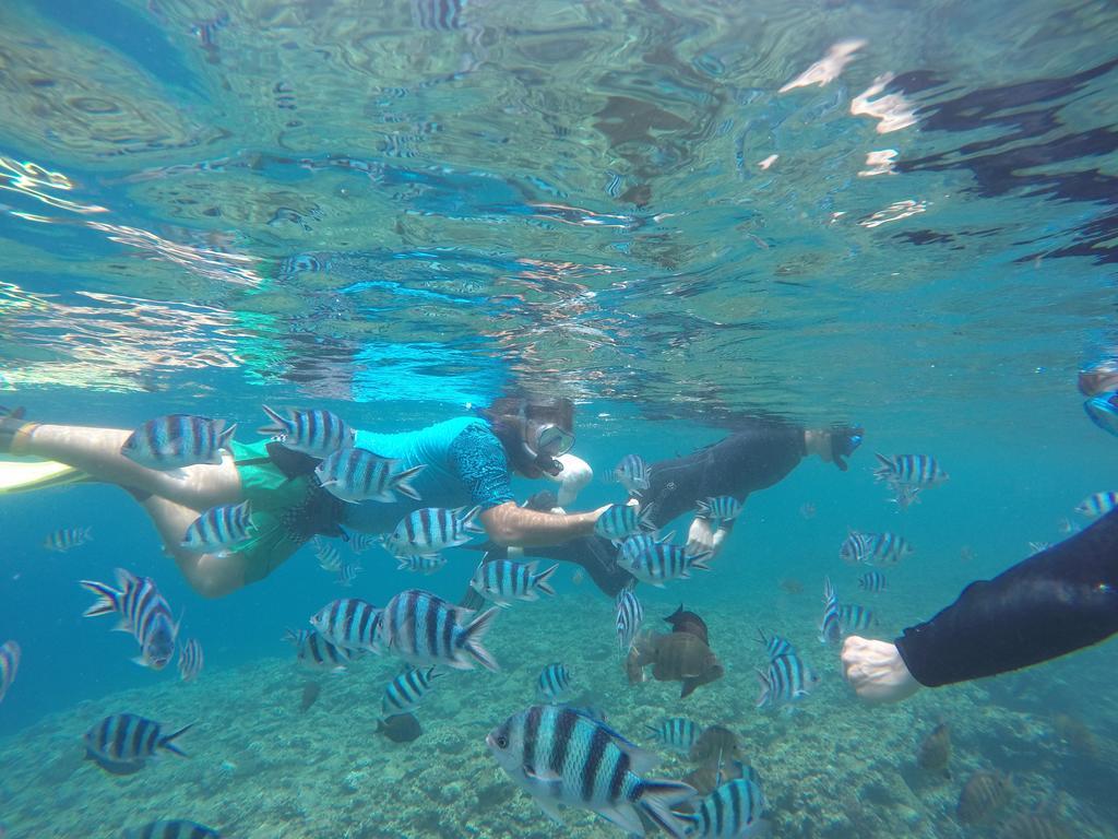 فندق Tropical Surf House Okinawa أونا المظهر الخارجي الصورة